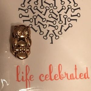 Keep Collection Owl.